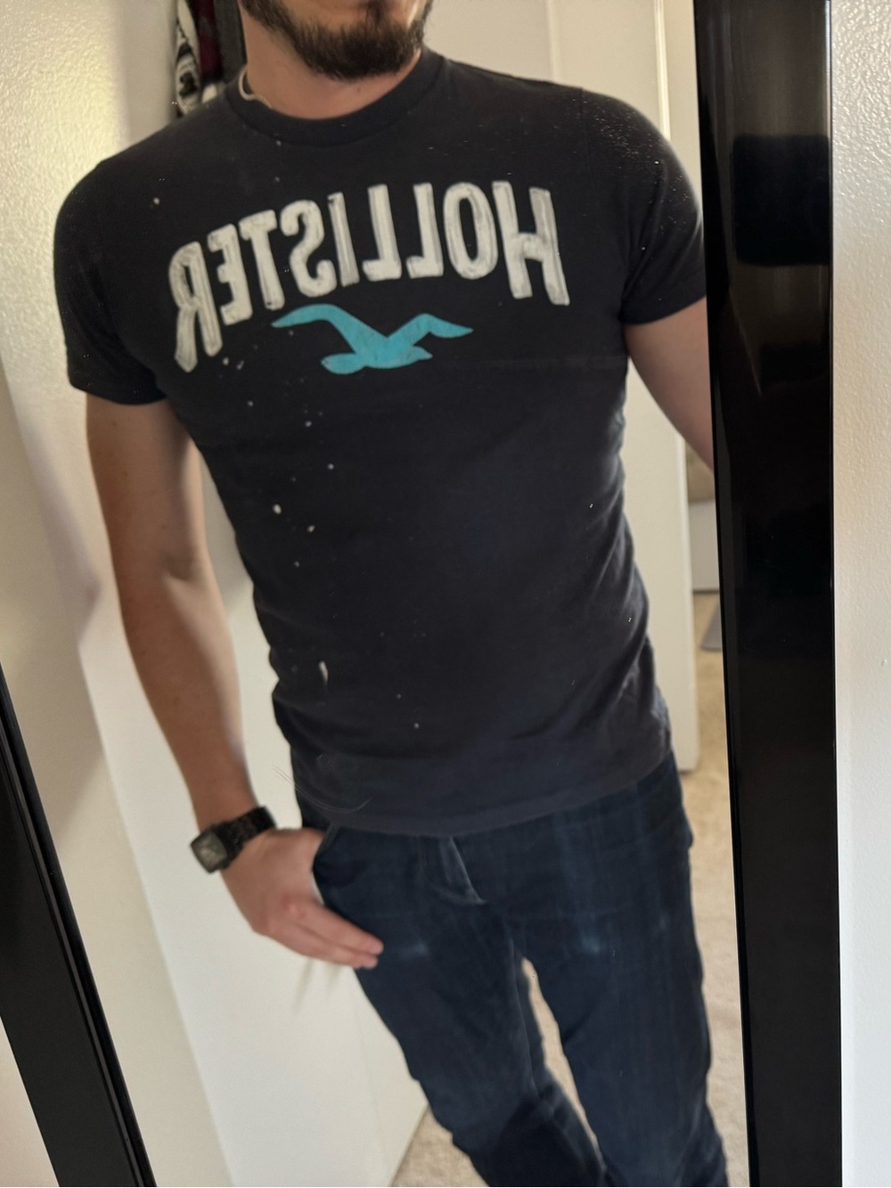 Hollister Black Tee with Teal Seagull Logo